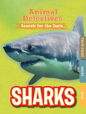 cover image of Sharks